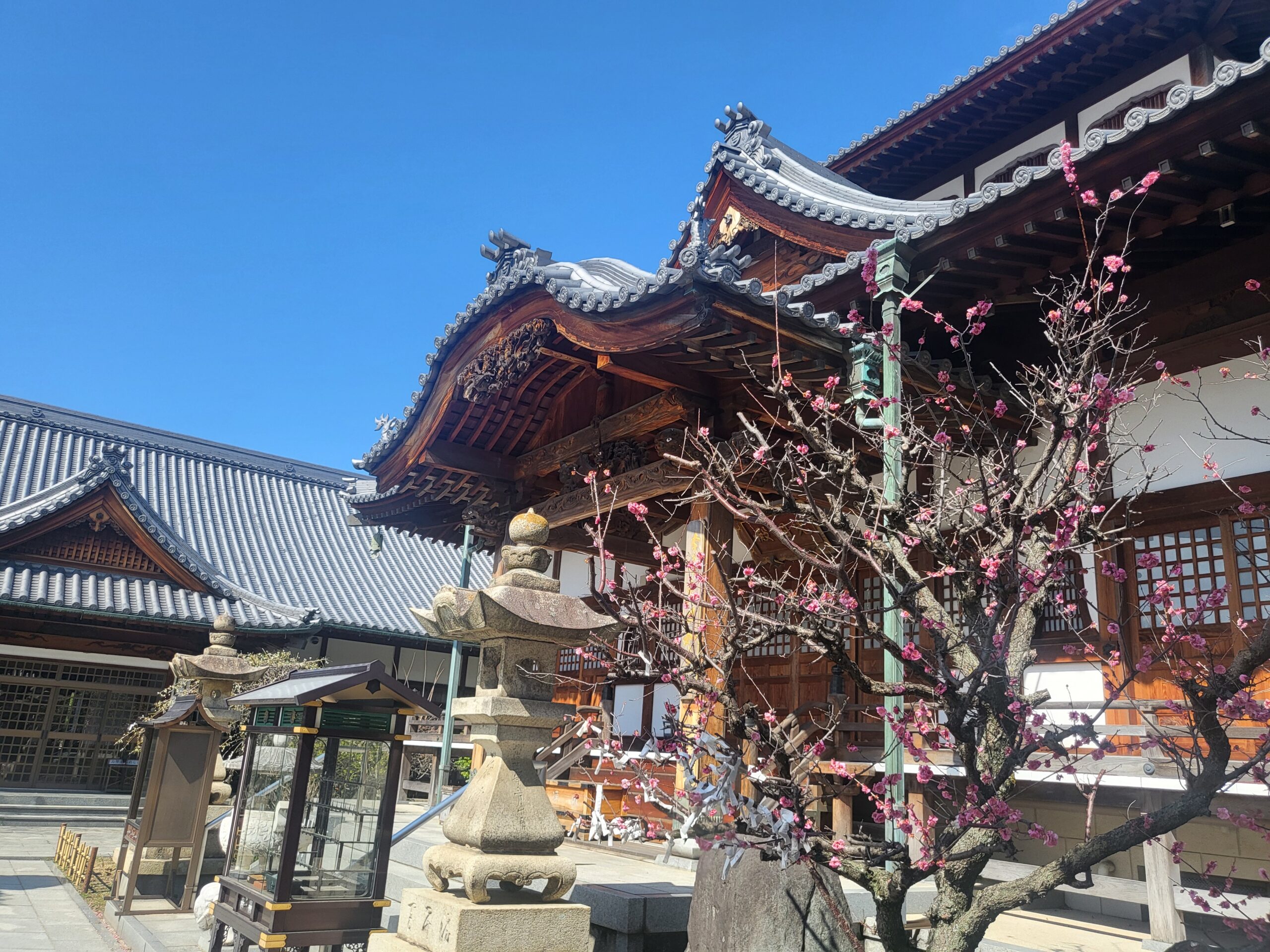 ｢手放しながら歩く｣