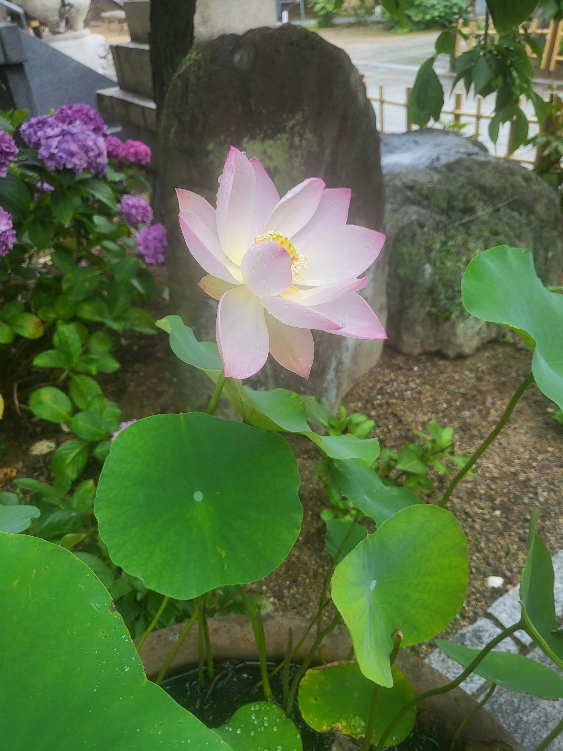 灯りをともす